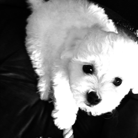 Meet your Posher, Sarah - Picture 1 of 1